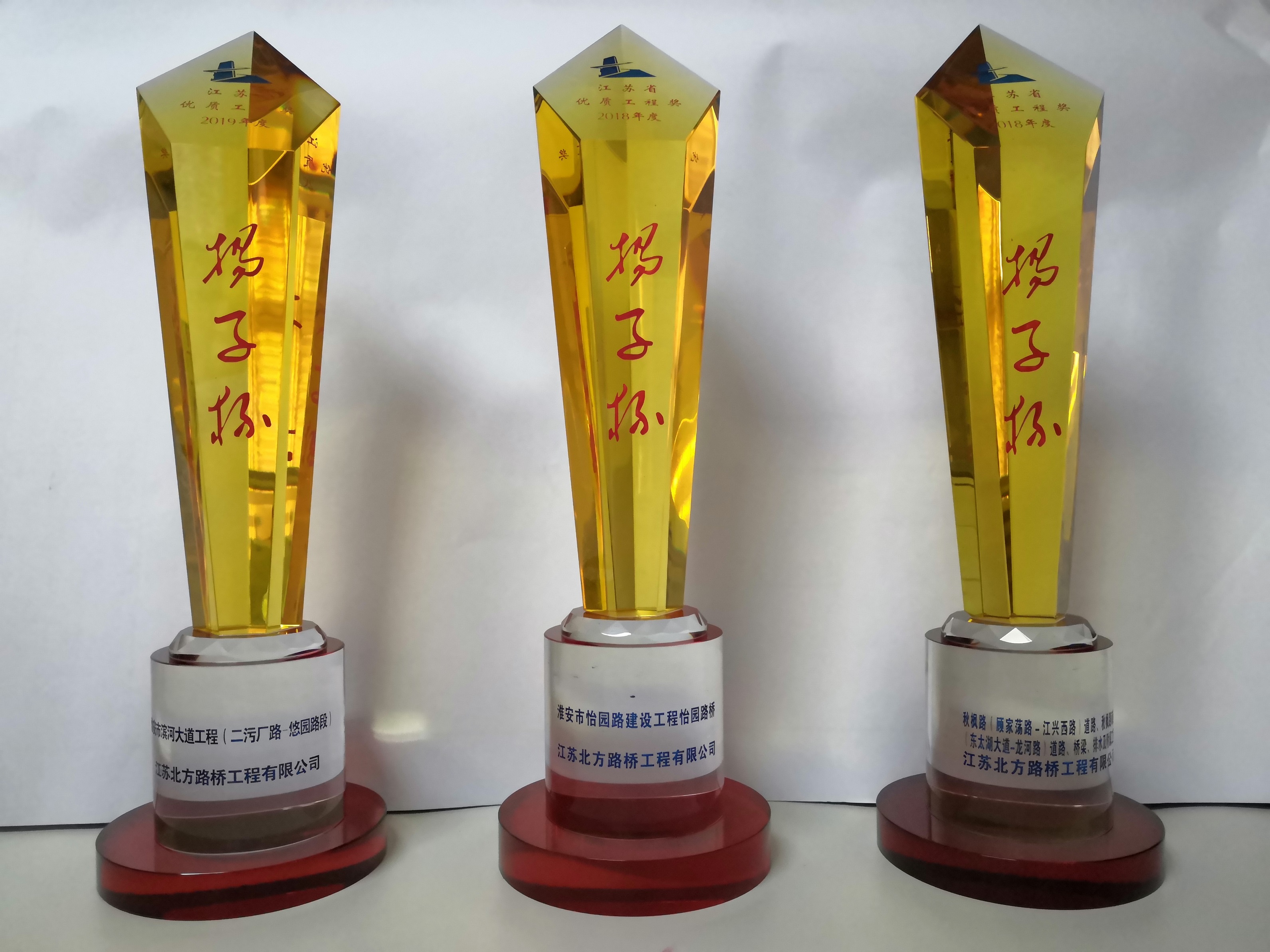 2018、2019年度“扬子杯”